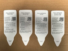 Load image into Gallery viewer, 10 Mixed Heather - Winter Flowering, Ground Cover - Red, Pink, Purple, White